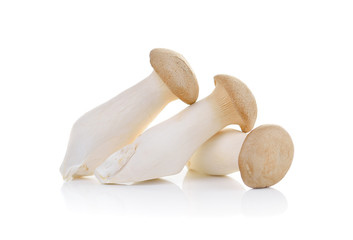 mushroom  eryngii on white background