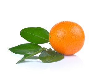 Orange  isolated on white background