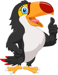 Cartoon toucan gives thumb up © tigatelu