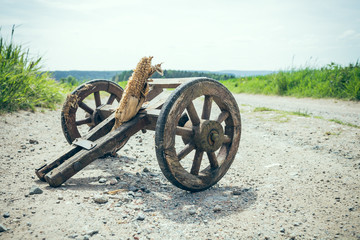 Handcart on a dirt road