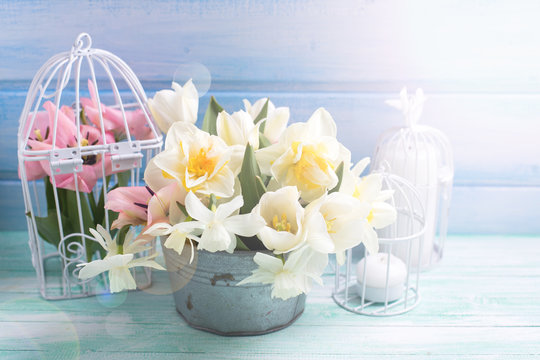 Background with fresh narcissus and tulips