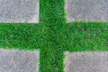 Cross shape green grass