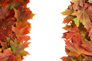 Autumn leafs frame on white background