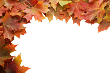 Autumn leafs frame on white background