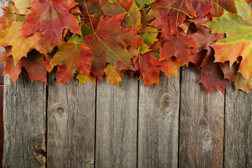 Naklejka na ściany i meble Autumn leafs frame on grey wooden background