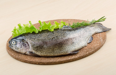 Raw fresh trout