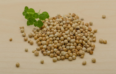 Coriander seeds