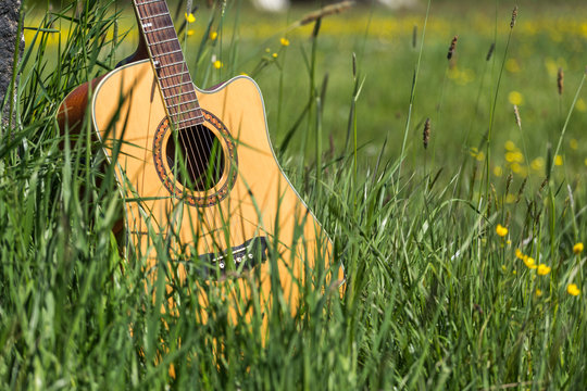 Gitarre im hohen Gras im Hintergrund Wiese mit L&ouml;wenzahn