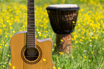 Vordergrund Gitarre, Hintergrund Djembe, in Wiese mit Löwenzahn