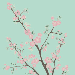 Obraz na płótnie Canvas Flowering cherry branch.Vintage background