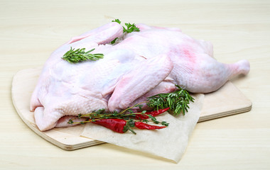 Raw duck