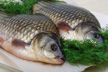 Two crucian