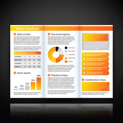 Modern brochure template with some infographic elements.