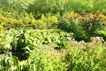 Bauerngarten mit Gemüse und Blumen