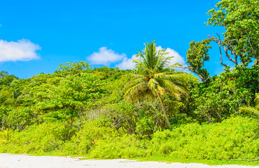 Fototapeta na wymiar Similan island