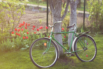 Fototapeta premium Soviet vintage bicycle in garden