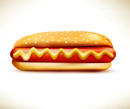 vector bun with sausage (hot dog) isolated on a white background