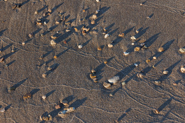 The sandy bank of the river with pebbles and stones