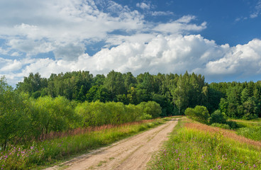 Fototapeta na wymiar Summer landscape with dirt road leading into the woods