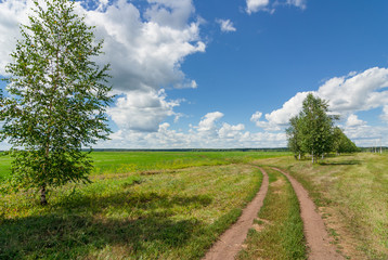 Summer landscape with grant covering road in the field