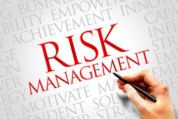 Risk Management word cloud, business concept