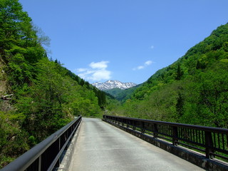 Fototapeta premium 白山連峰