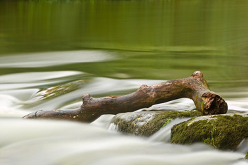 Holzstamm im Fluss
