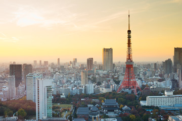 Fototapeta na wymiar Tokyo Tower, Tokyo, Japan