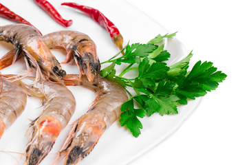 Raw tiger shrimps on plate.