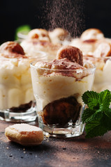 Traditioanl italian tiramisu cake