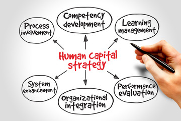 Human capital strategy mind map, business concept