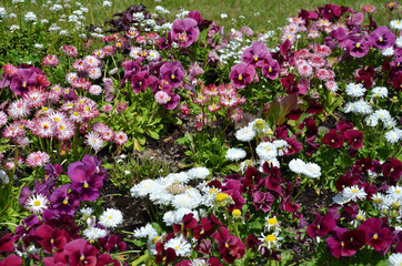 Blumenbeet