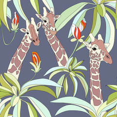 Naklejka premium Giraffes in the rainforest,, seamless wallpaper
