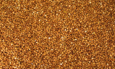  buckwheat