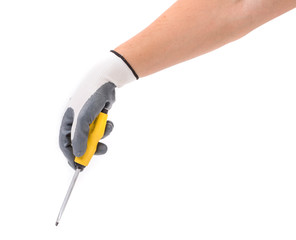 Hand in glove holding screwdriver. 