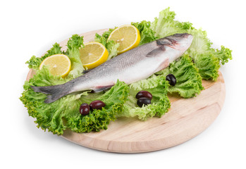 Composition of fresh seabass 