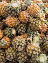A lot of pineapple fruit background