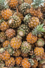 A lot of pineapple fruit background