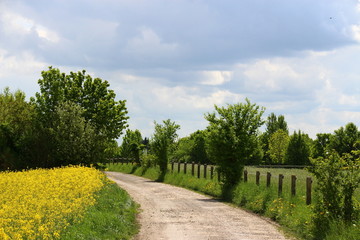 Weg zum Hof