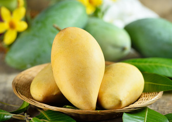Fresh yellow and green mango on wooden  background