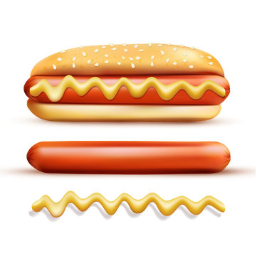 vector set consisting of elements: a bun, mustard, sausage