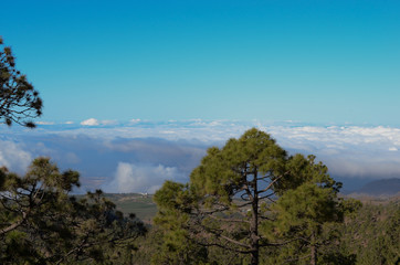 Obraz na płótnie Canvas вид с гор на облака на острове тенерифе