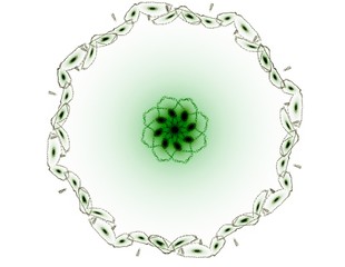 Colorful fractal rings, digital artwork