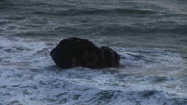 Paracas National Park, Desert, Peru 
