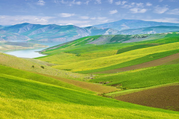 Fototapeta na wymiar Colorful Meadow in Morocco
