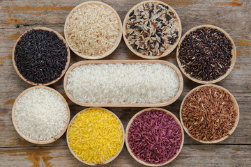 Collection of thai's organics rice for healthy