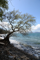 Küste am Milli Park bei Kusadasi