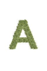 The letter from the alphabet of arugula