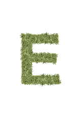 The letter from the alphabet of arugula