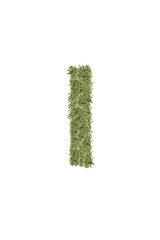 The letter from the alphabet of arugula